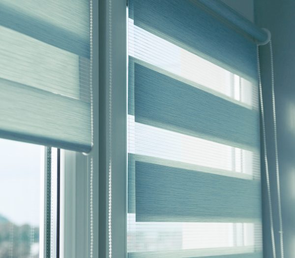 Szürke sávroló Sávroló, Göd